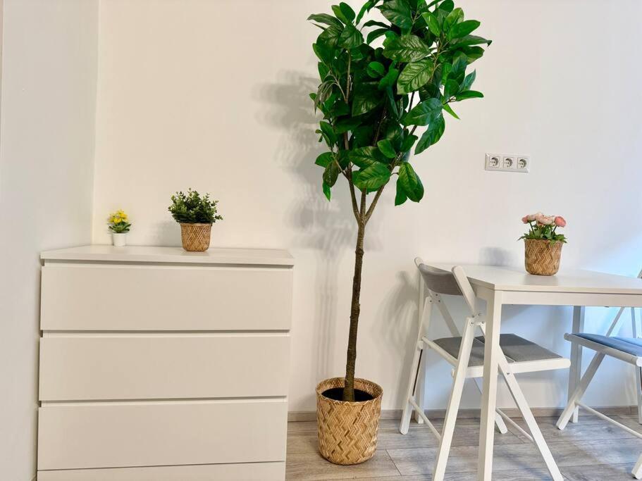 Easy Suites - Free Underground Parking Wenen Buitenkant foto