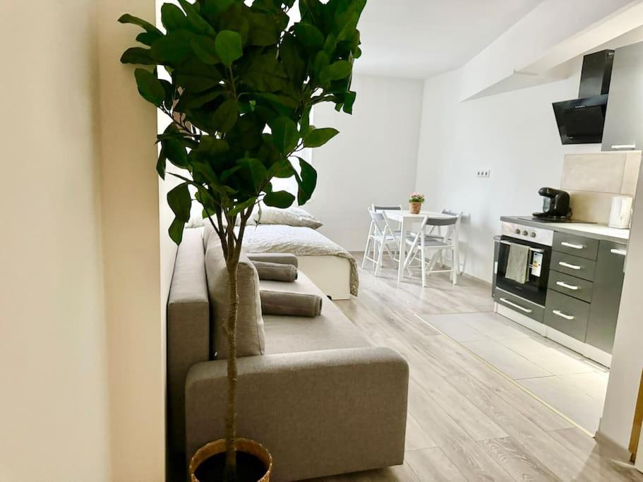 Easy Suites - Free Underground Parking Wenen Buitenkant foto